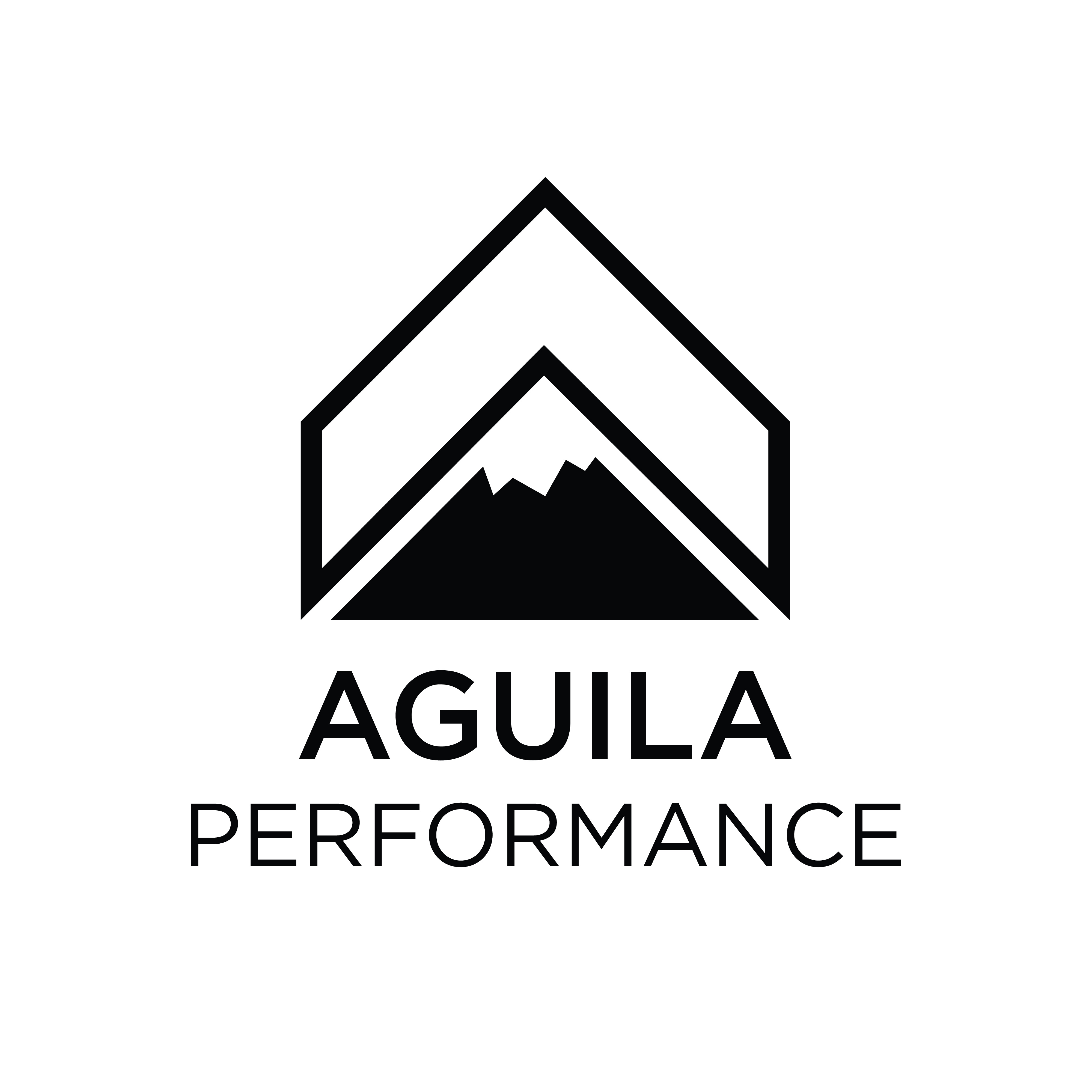 Aguila Performance Logo